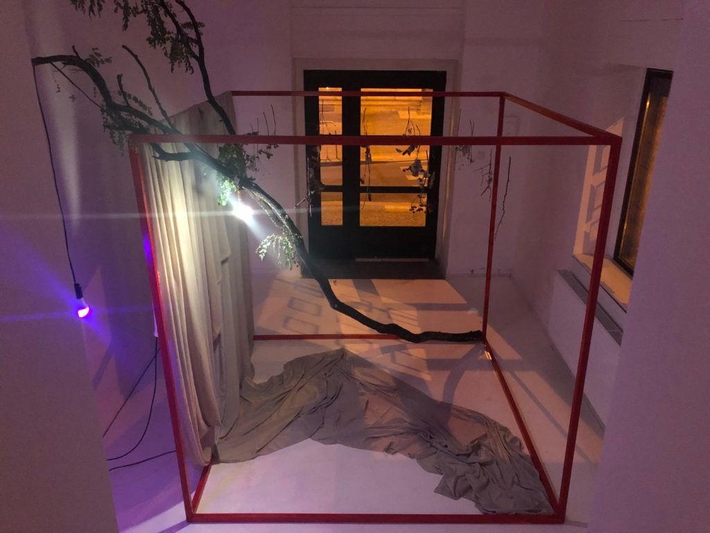 Daniel Skočil a Tereza Kalousová: Bažina