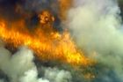 U Říčan hořelo 2,5 hektaru lesa, hasil i vrtulník
