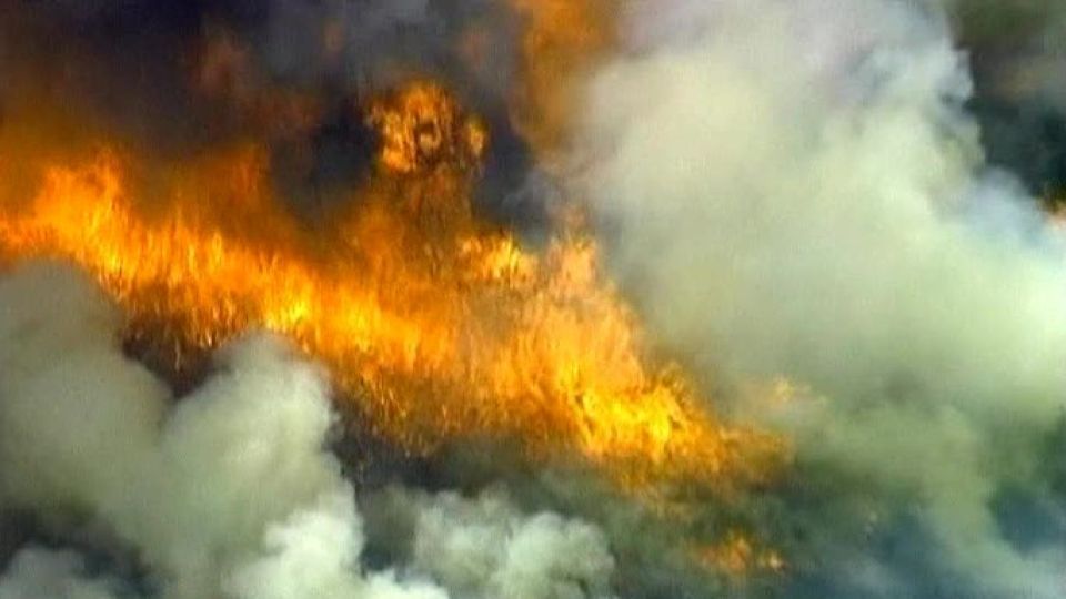 Texas pustoší rozsáhlé lesní požáry