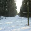 Bělorusko - Kuropaty