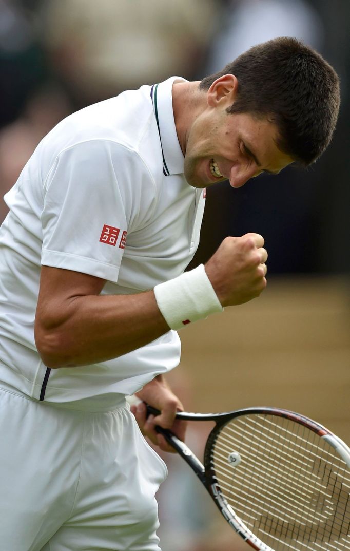 Wimbledon 2014: Štěpánek - Djokovič