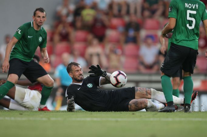 5. kolo fotbalové FORTUNA:LIGY, Sparta - Příbram: příbramský brankář Milan Švenger