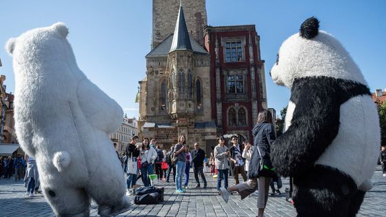 Czech Press Photo: Fotky ze souboru Pražské panoptikum, který vyhrál Grant Prahy