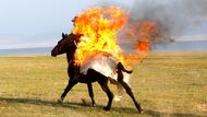 Naryn, Kyrgyzstán: Jezdec na koni oslní diváky ohnivým číslem při extrémním závodě v magické horské krajině.