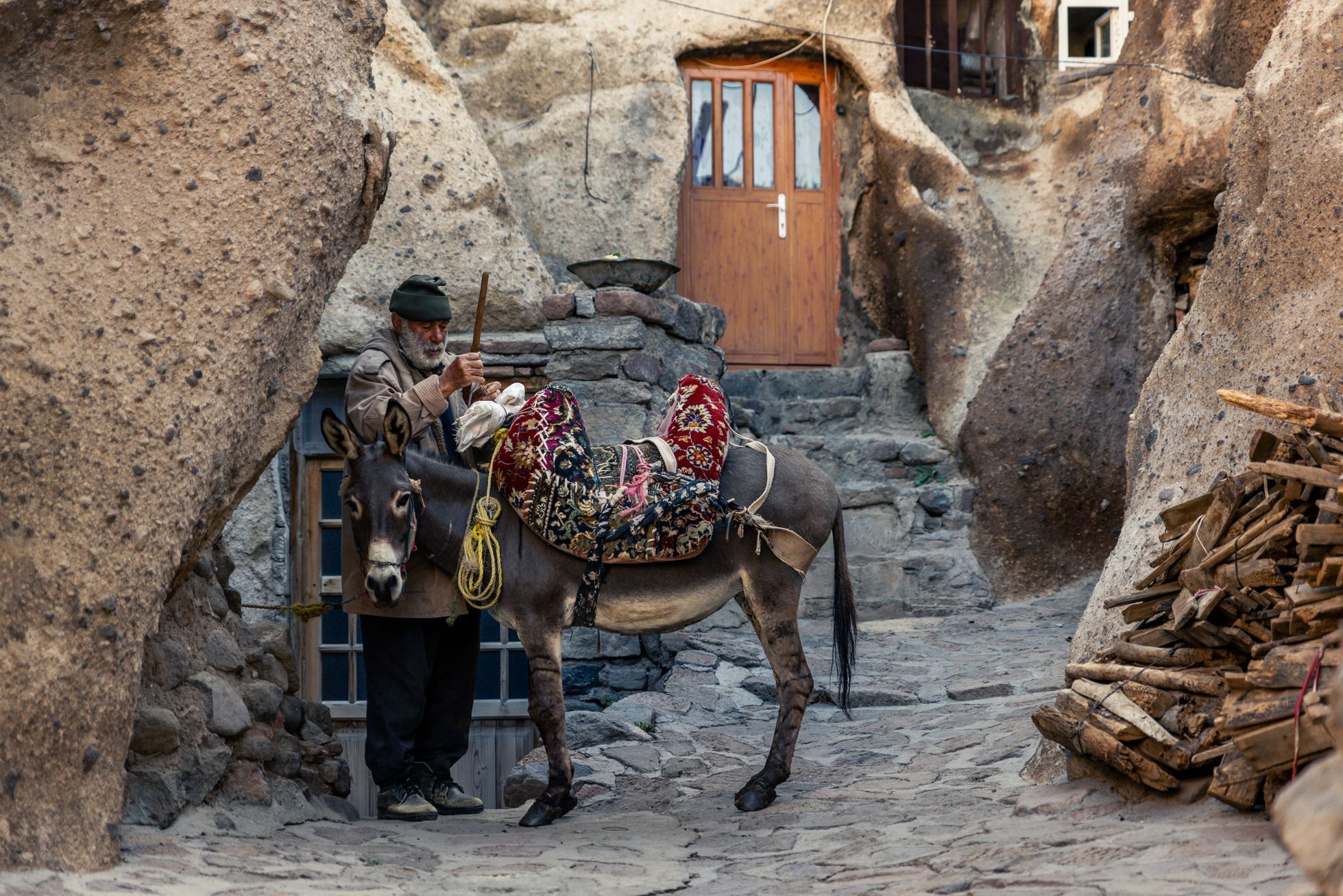 žlutá žába irán O7