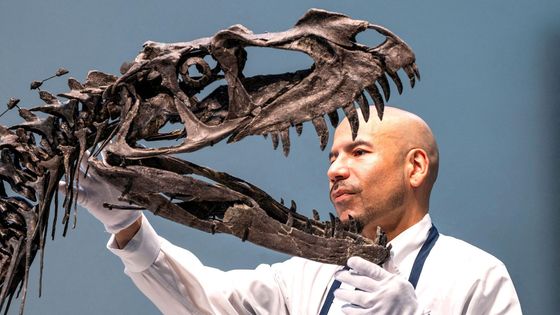 Škoda tyhle fotky minout: dinosaurus v obýváku, ajatolláh na útěku i splynutí duší