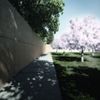 Young Architect Award