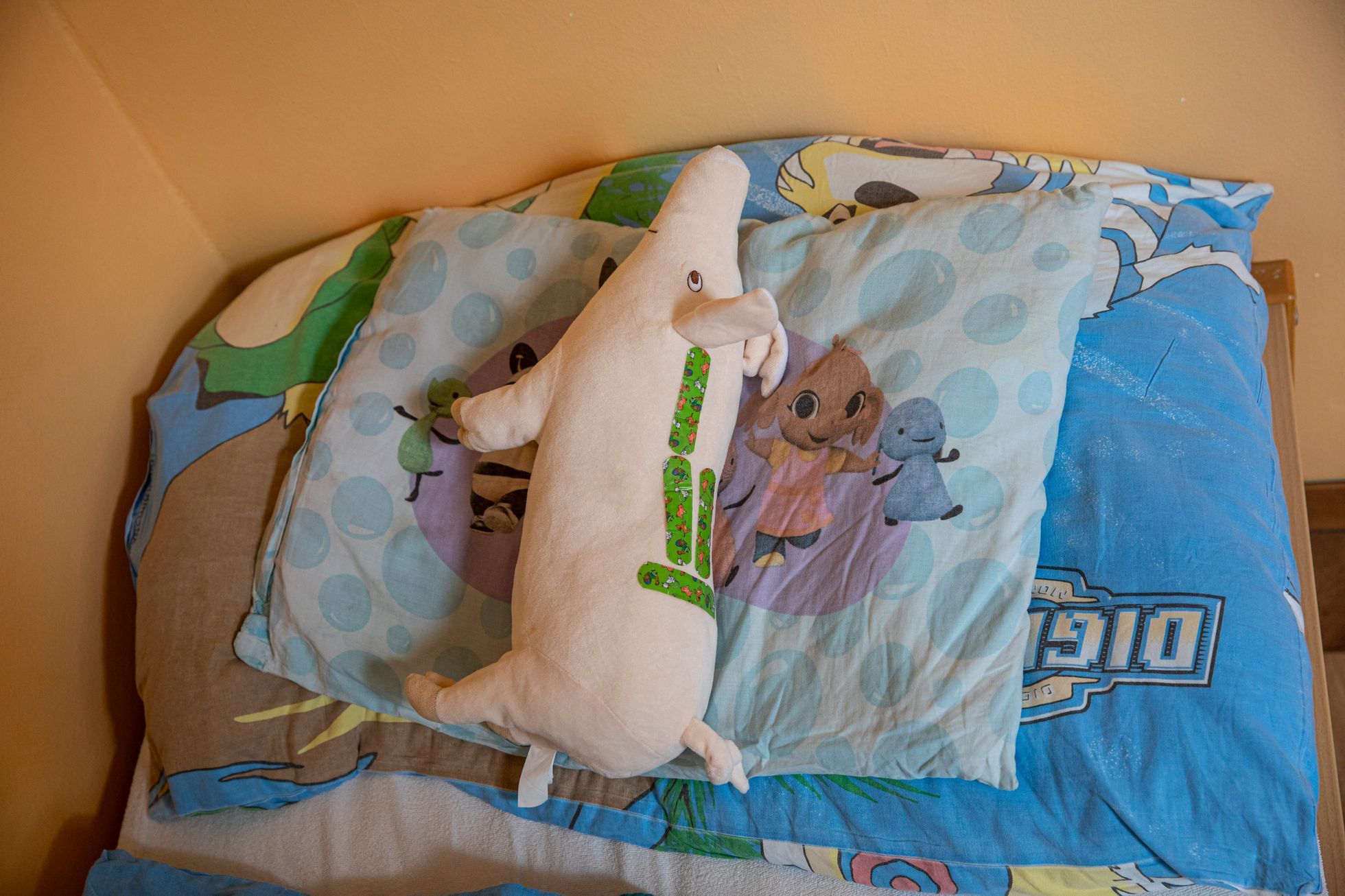 Dětské oddělení Psychiatrické nemocnice Dobřany