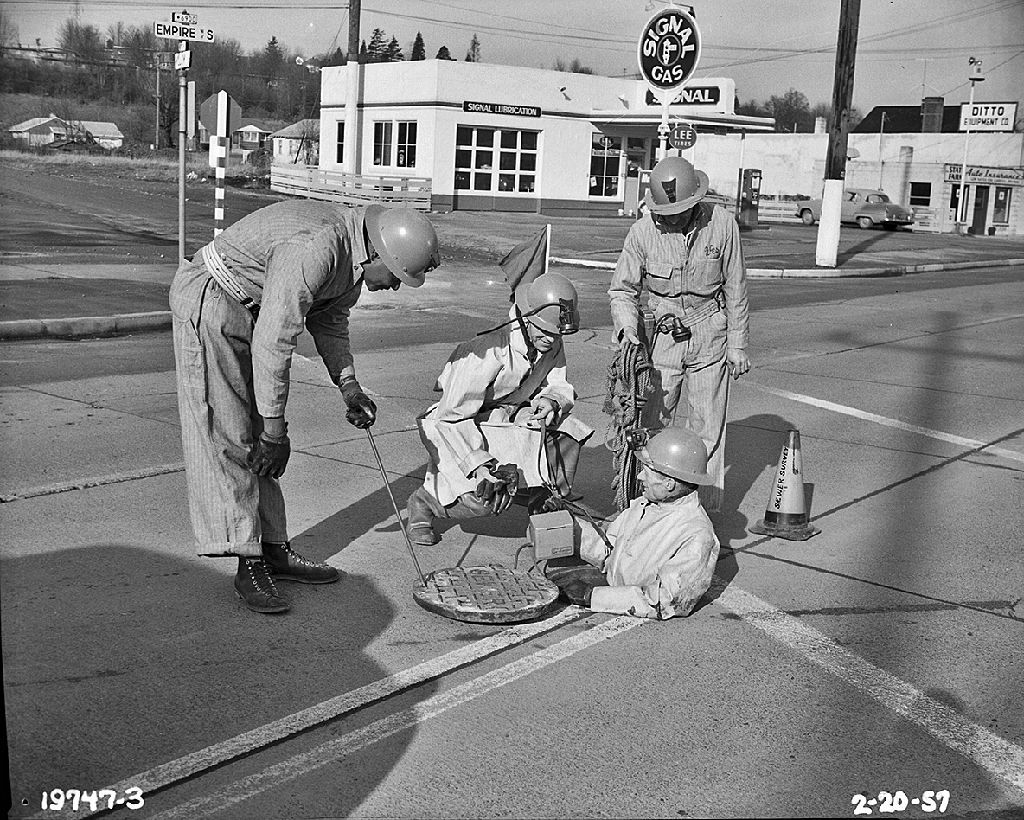 Ne pro články! Fotogalerie: Nejsmrdutější práce na světě