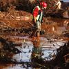 Toxické bahno v Maďarsku: Lidé se nebudou moci vrátit domů