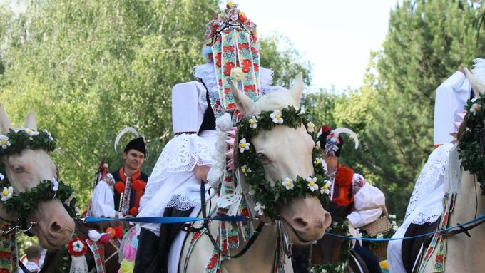 Při Jízdě králů se nejvíce mluví o mladém muži - králi, který má v ústech růži, není mu vidět do obličeje a je v ženském kroji. Podstatou této tradice je ale něco jiného.