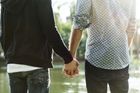 Senát umožnil přijetí nových pravidel pro partnerství stejnopohlavních párů