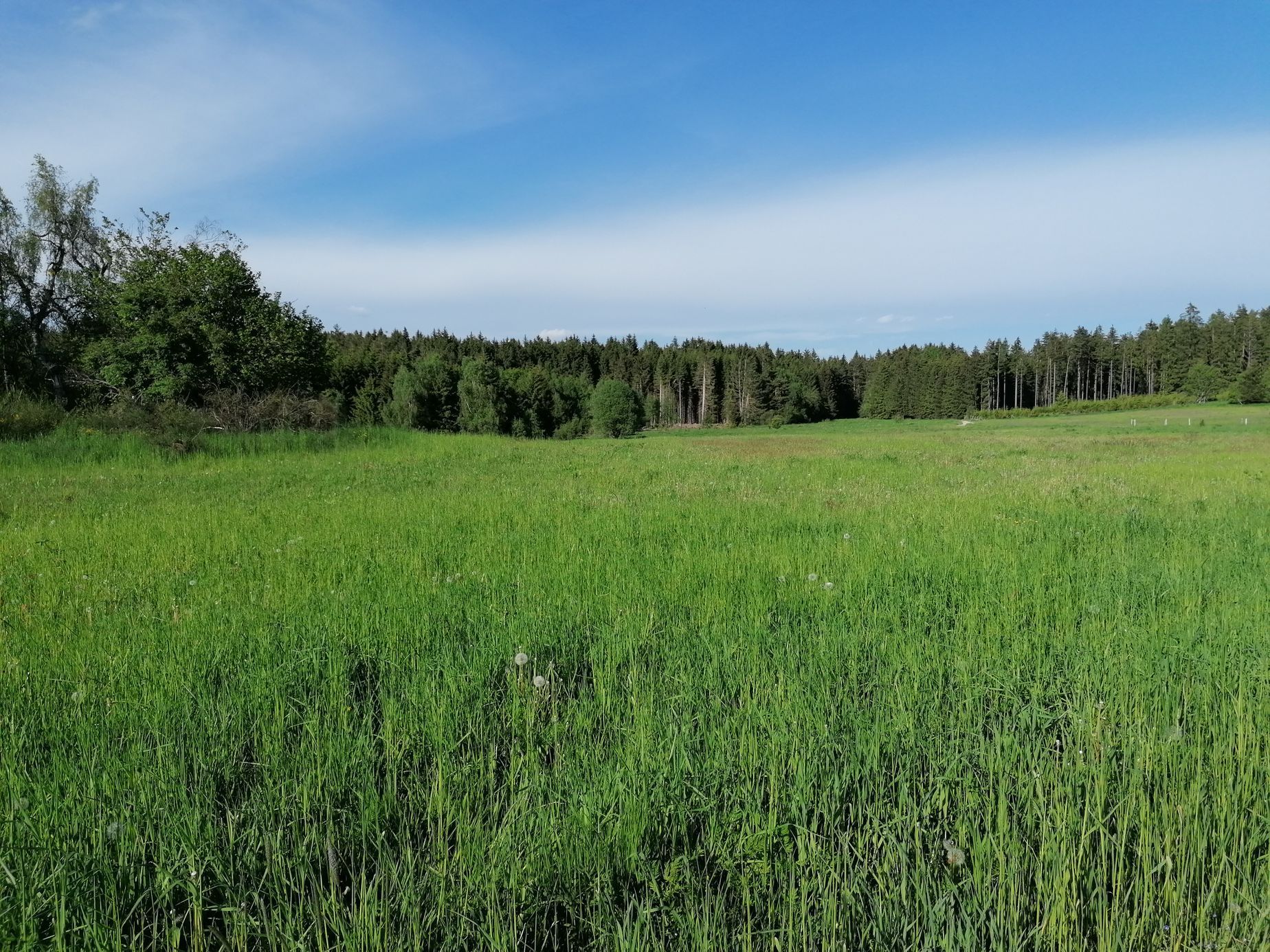 Česká Kanada čundr