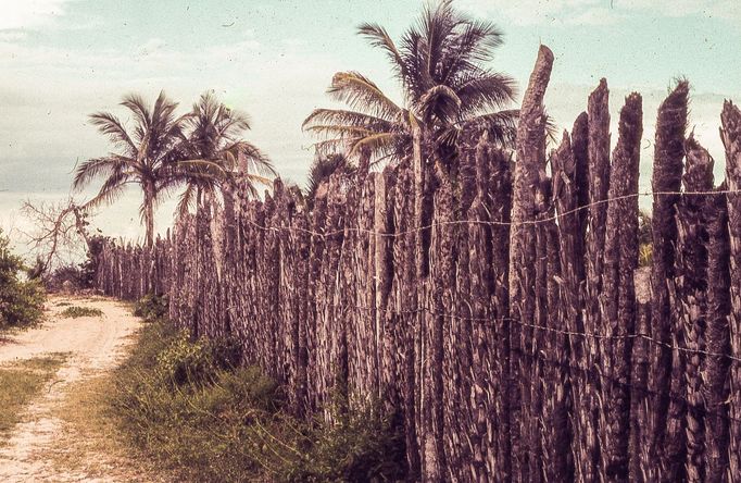 Fotografie Kuby, kterou pořídil Petr Levínský během pobytového zájezdu, jenž organizovala tehdejší Cestovní kancelář mládeže na jaře v roce 1989.