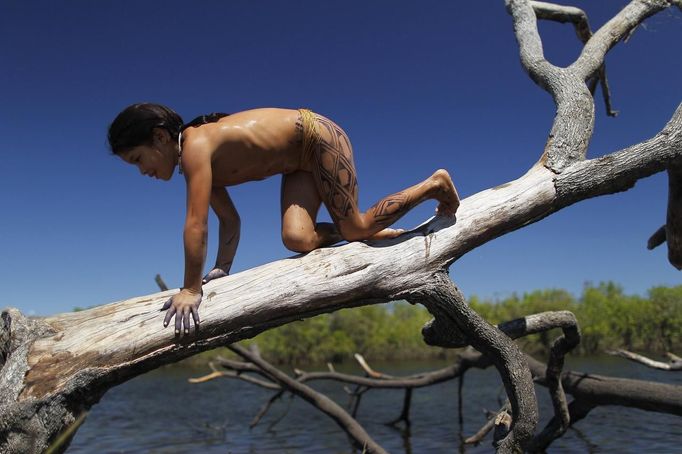 A Yawalapiti girl climbs a tree to jump into the Xingu River in the Xingu National Park, Mato Grosso State, May 7, 2012. In August the Yawalapiti tribe will hold the Quarup, which is a ritual held over several days to honour in death a person of great importance to them. This year the Quarup will be honouring two people - a Yawalapiti Indian who they consider a great leader, and Darcy Ribeiro, a well-known author, anthropologist and politician known for focusing on the relationship between native peoples and education in Brazil. Picture taken May 7, 2012. REUTERS/Ueslei Marcelino (BRAZIL - Tags: SOCIETY ENVIRONMENT) ATTENTION EDITORS - PICTURE 21 OF 28 FOR PACKAGE 'LIFE WITH THE YAWALAPITI TRIBE' TEMPLATE OUT Published: Kvě. 15, 2012, 5:11 odp.