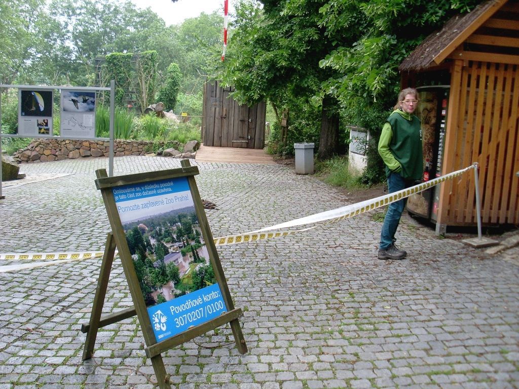 Úklid Zoo Praha