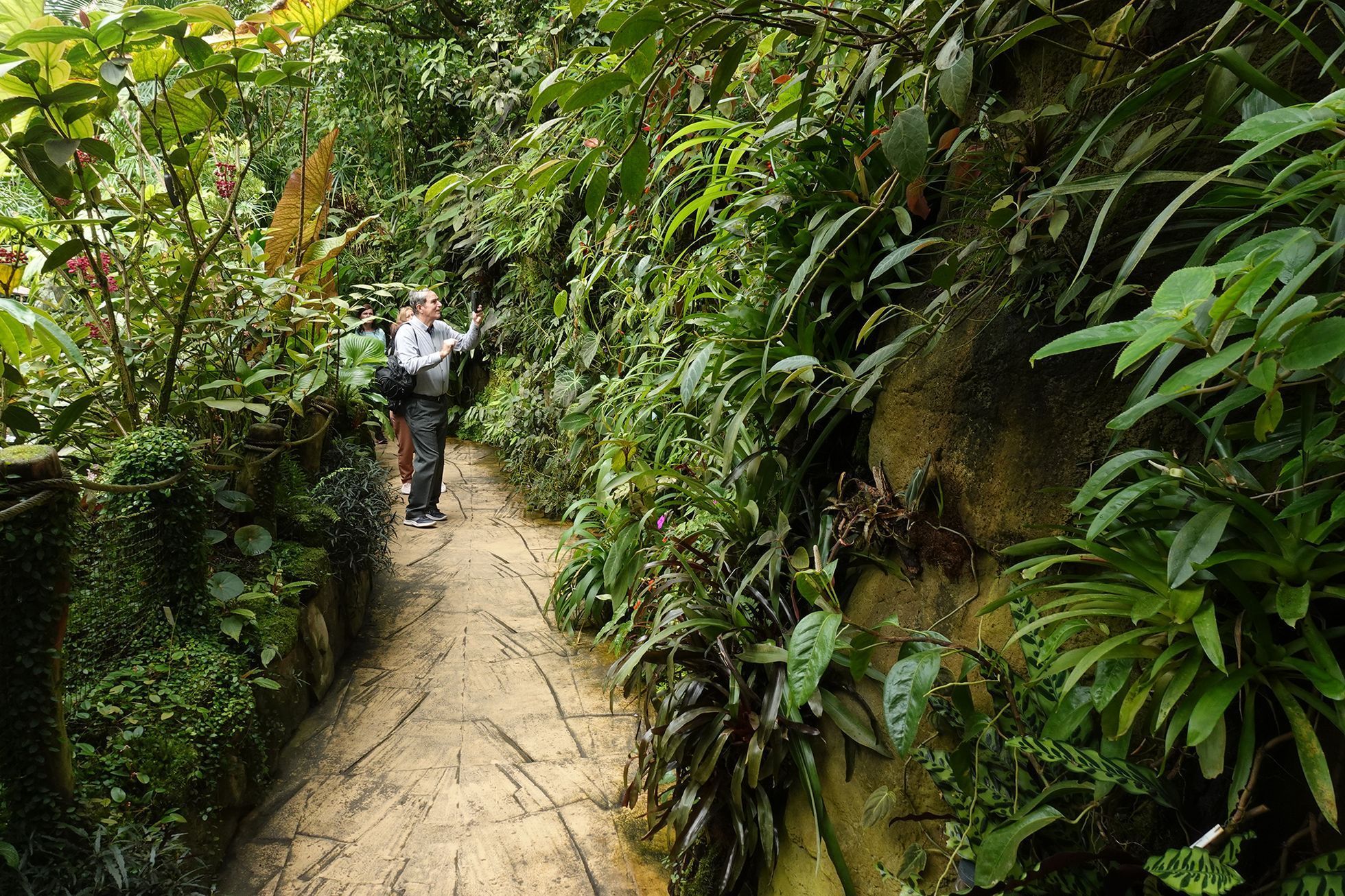 Motýli v Botanické zahradě v pražské Tróji, květen 2023