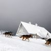 Nejlepší snímky Reuters na pomoc dětem - série Zvířata, příroda, panorama