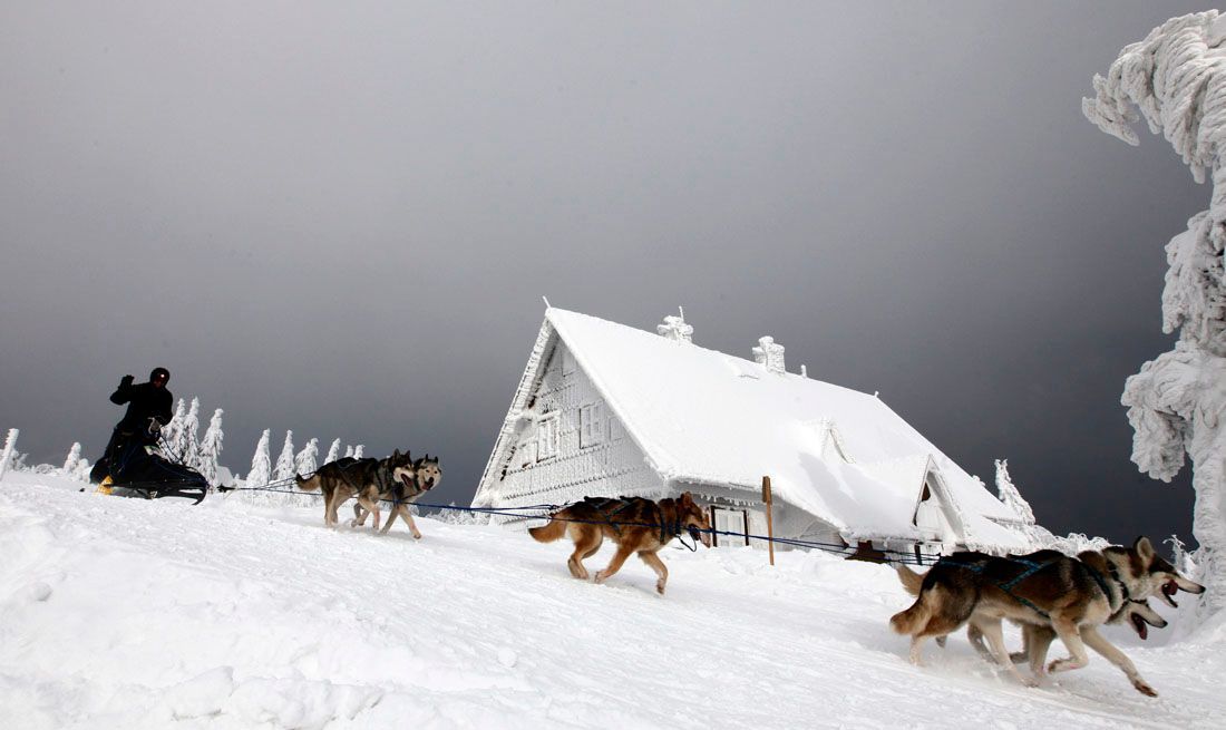 Nejlepší snímky Reuters na pomoc dětem - série Zvířata, příroda, panorama