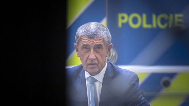 Babiš nazýval Čapí hnízdo svým dítětem, nemohlo se rozhodovat bez něj, řekla svědkyně; Zdroj foto: ČTK/AP