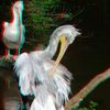 ZOO 3D