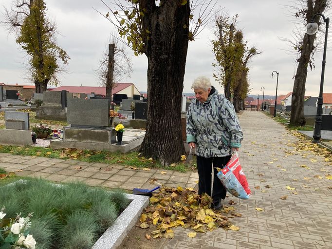 Obnova zeleně v místech, kudy prošlo v červnu 2021 tornádo.