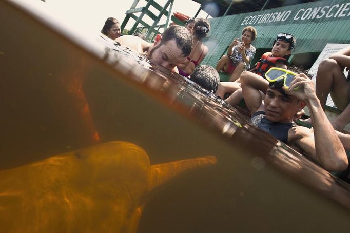 Igor Andrade (L), a physiotherapist, assists children with disabilities during a "Bototherapy" session at Arau River in Amazon August 22, 2012. The "Bototherapy", a "Rolfing" therapeutic practice assisted by river dolphins, was developed by Andrade and the treatment is free for children with disabilities or disorders from low income families. Picture taken August 22, 2012. REUTERS/Bruno Kelly (BRAZIL - Tags: SOCIETY HEALTH) Published: Srp. 28, 2012, 1:39 dop.