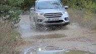 Ceny u středně velkého SUV Ford Kuga se měnily oběma směry. Nejzajímavější nám ale připadá zlevnění výborně vybavené verze Titanium Top Edition s benzinovým turbomotorem 1.5 EcoBoost/110 kW o dvacet tisíc na 589 990 korun. Nejlevnější Kuga Trend se stejným motorem, ale o výkonu 88 kW, se prodává za necelého půl milionu.