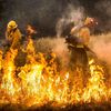 Kalifornie lesní požáry Firefighters work to dig a fire line on the Rocky Fire in Lake County, California