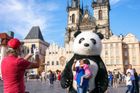 Ve fotogalerii přinášíme snímky z míst, která se potýkají s nadměrnou turistikou a jejími projevy. Můžeme začít rovnou v Praze. Snímek je z roku 2018, obří pandy a medvědy už se podařilo zakázat.