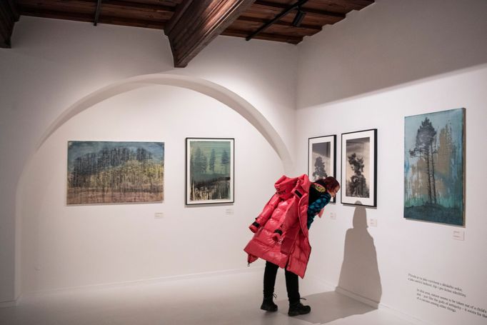 Snímek z výstavy děl Siegfrieda Herze.