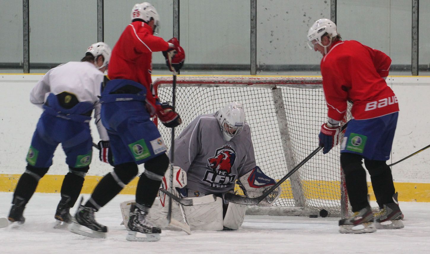 Tréninky Sparty a HC Lev