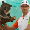 Adrian Sutil v zoo s koalou