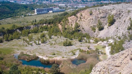 Devadesát let se tu těžil vápenec. Lom na okraji Brna pak vydal nečekaná překvapení