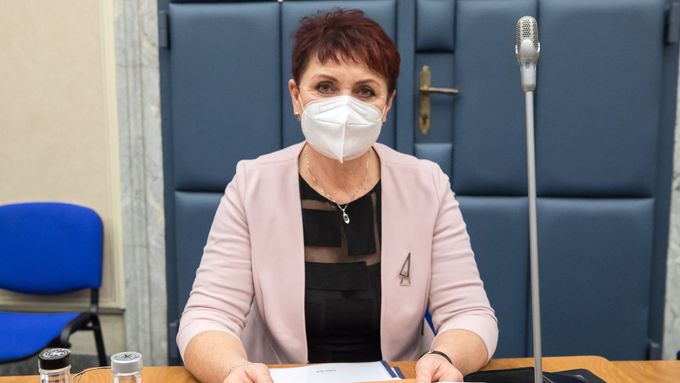 Ministryně životního prostředí Anna Hubáčková.