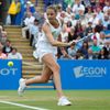 Karolína Plíšková ve finále turnaje v Eastbourne
