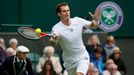 Andy Murray ve Wimbledonu