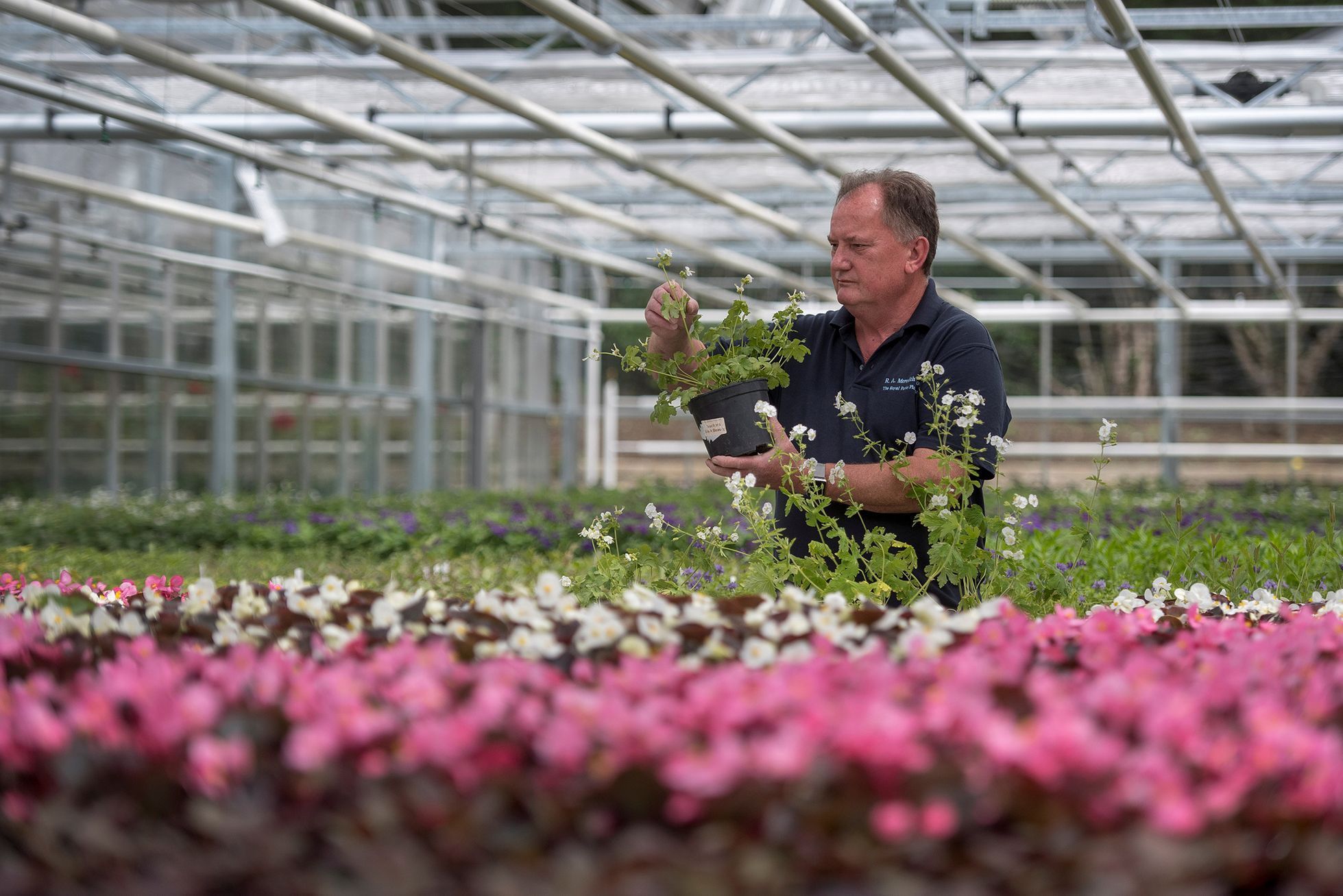 FOTOGALERIE / Přípravy na královskou svatbu / Princ Harry a Meghan Markle / Reuters / 29