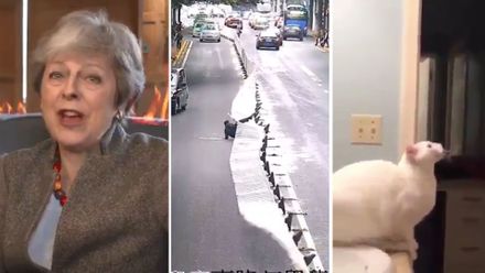 Oheň u Mayové i kočičí skok. Svět baví vtipy o brexitu