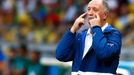 Luiz Felipe Scolari na MS ve fotbale 2014