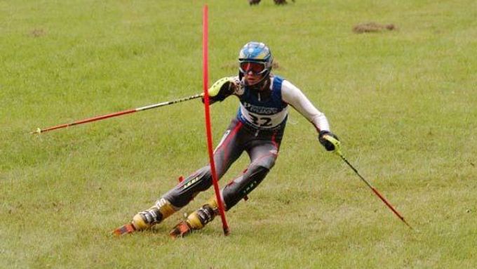 Grass skiing - the future for skiers?