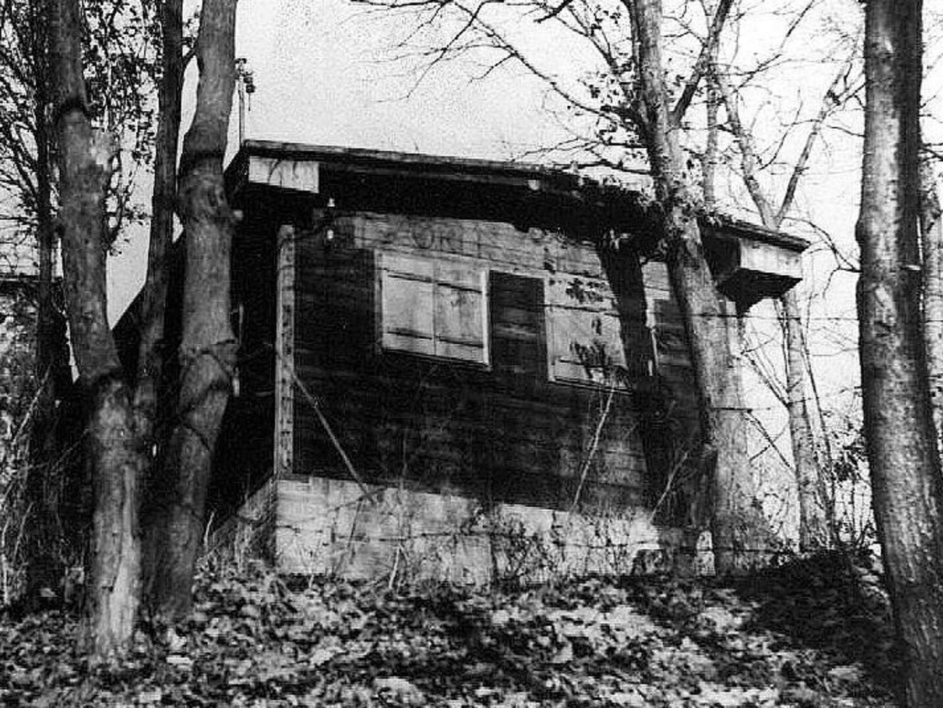 Skauti klubovny