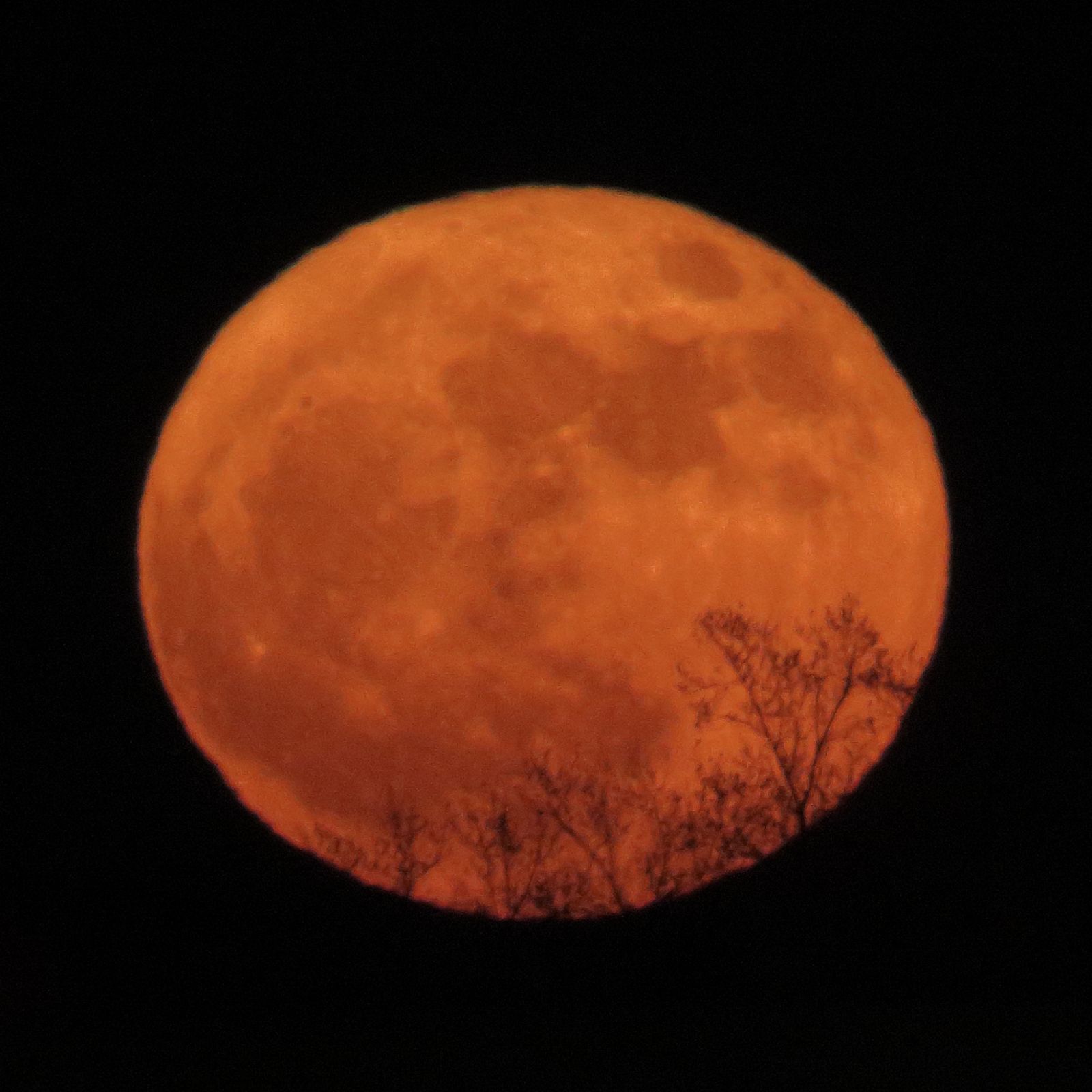 Почему сегодня луна оранжевая. Кровавая Луна явление. Красная Луна. Астрономические явления. Красная суперлуна.