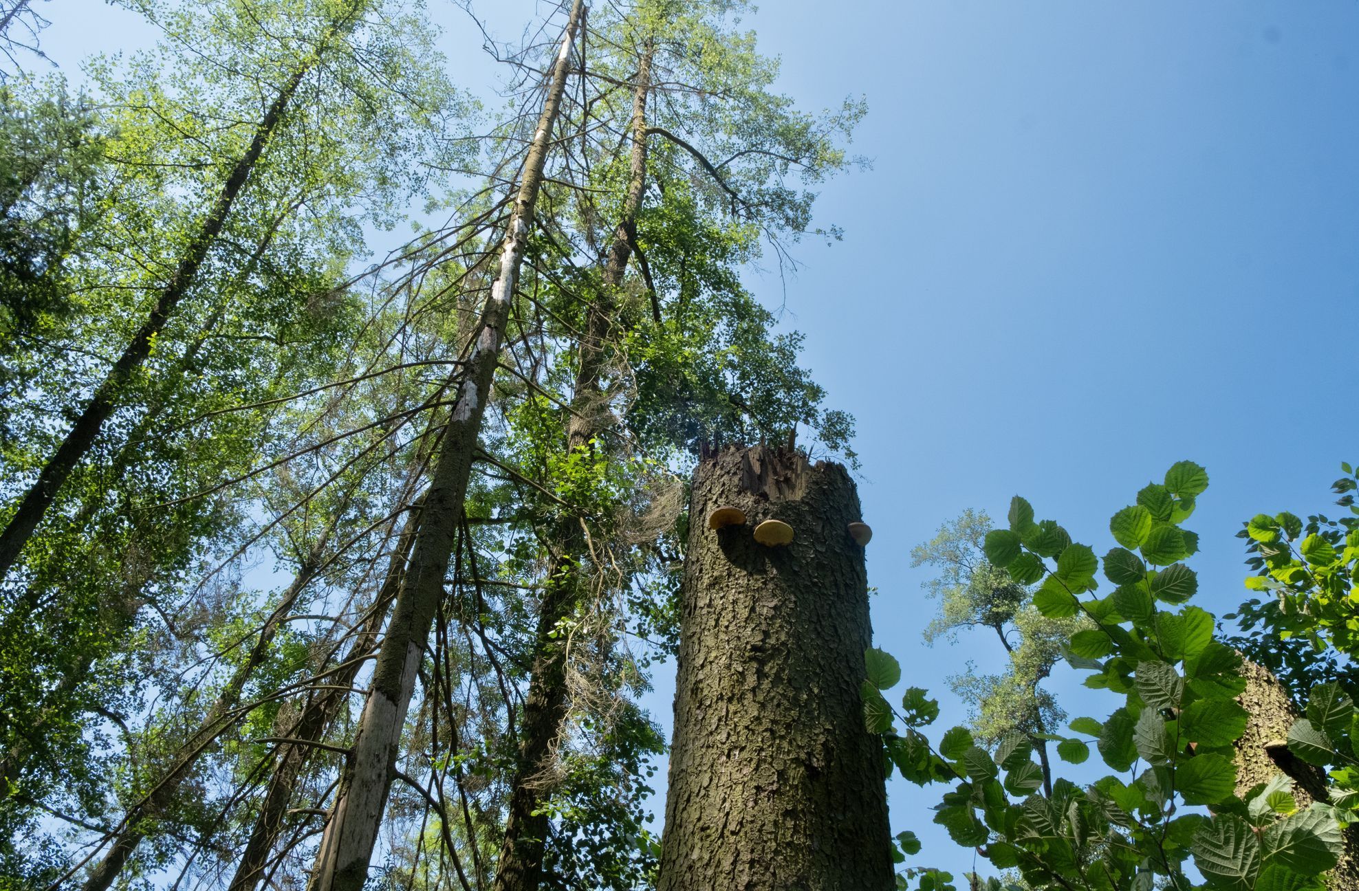 Údolí řeky Bobrovky