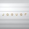 Jaguar nová identita