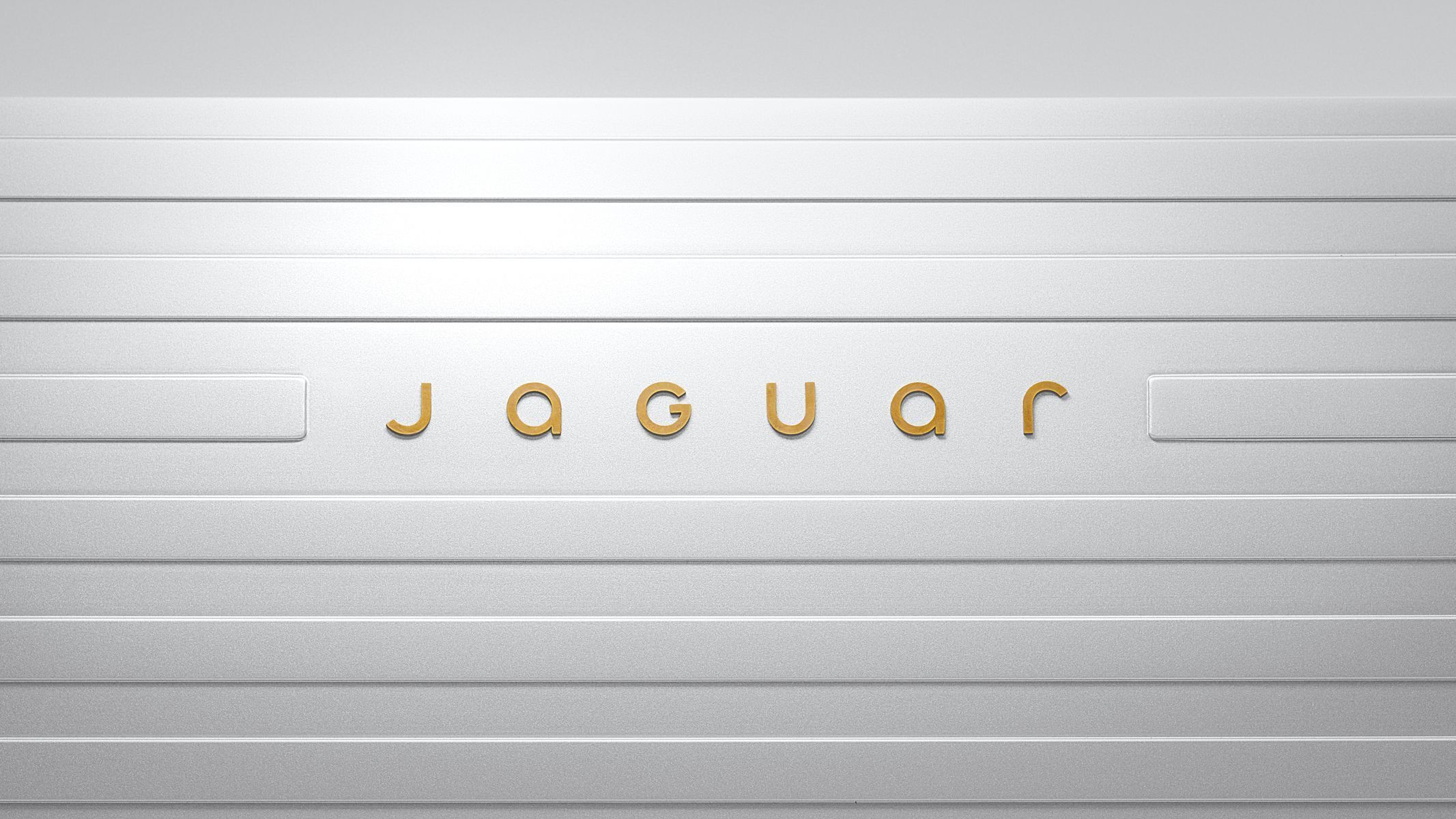 Jaguar nová identita