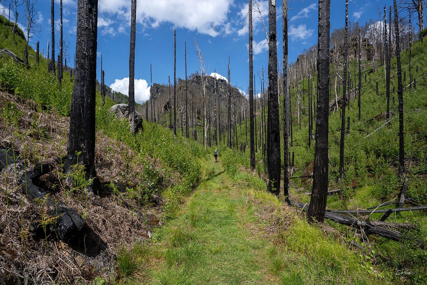 NP České Švýcarsko