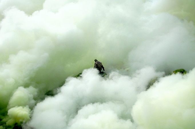 To go with story Indonesia-volcano-mine by Jerome Rivet A picture taken on March 8, 2010 shows Indonesian sulphur miner collecting sulphur surrounded by thick toxic smoke at the Kawah Ijen, or Ijen crater, in Bondowoso in East Java. Indonesian porters at Kawah Ijen, a famous tourist spot in Indonesia's East Java, mine and carry at least 70 kg-worth of sulphur blocks on their shoulders through the suffocating clouds of toxic gases each day receiving just 70,000 to 80,000 rupiah (7 - 8 US dollars) for their labour.