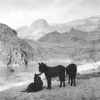 Jednorázové použití / Národní park Grand Canyon slaví 100 let od založení / NPS / Historic