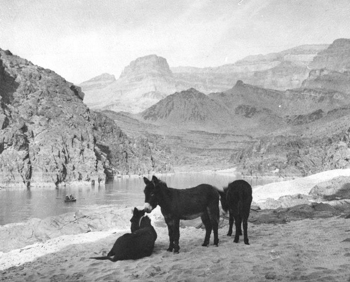 Národní park Grand Canyon slaví 100 let od založení.